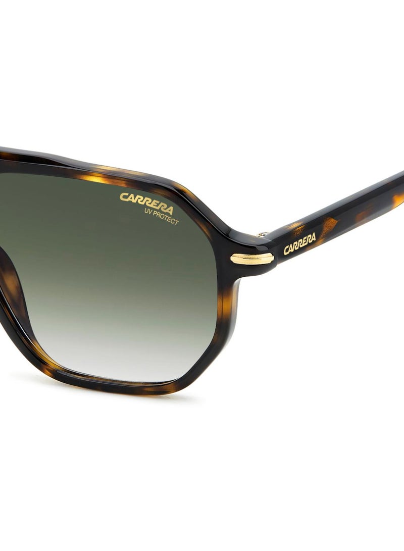 Carrera Sunglasses CARRERA 341/S - Image 5