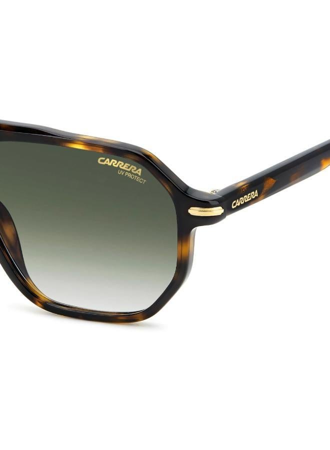 Carrera Sunglasses CARRERA 341/S - Image 5