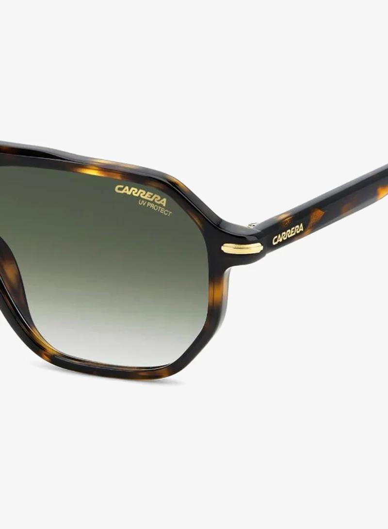 Carrera  Carrera Sunglasses CARRERA 341/S for Men | Best Price UAE