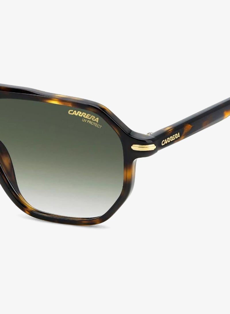 Carrera Sunglasses CARRERA 341/S - Image 5