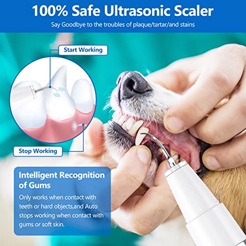 Ni-SHEN Dog Plaque Remover for Teeth，Pet Ultrasonic Tooth Cleaner，Teeth Cleaning Kit -Tartar Remover for Teeth Stains for Dogs and Cats (White) - Image 2