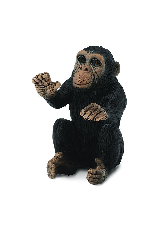 كيوبيك فن كوليكتا الشمبانزي - 88494