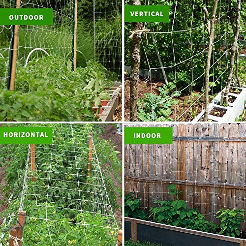 Tcamp Heavy-Duty Polyester Garden Trellis Net Plant Support Netting for Climbing Plants Outdoor, Flexible String Net for Bean Pea, White Grow Tent (5Ft x 30Ft, 3.5" Opening Mesh, 1 Pack) - Image 4