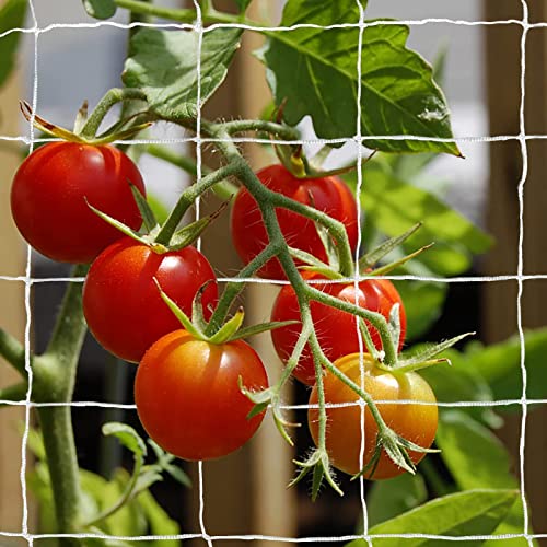 Tcamp Heavy-Duty Polyester Garden Trellis Net Plant Support Netting for Climbing Plants Outdoor, Flexible String Net for Bean Pea, White Grow Tent (5Ft x 30Ft, 3.5" Opening Mesh, 1 Pack) - Image 5
