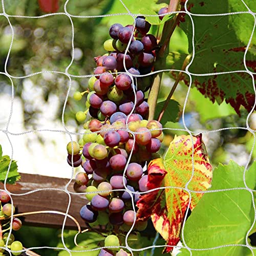 Tcamp Heavy-Duty Polyester Garden Trellis Net Plant Support Netting for Climbing Plants Outdoor, Flexible String Net for Bean Pea, White Grow Tent (5Ft x 30Ft, 3.5" Opening Mesh, 1 Pack) - Image 1