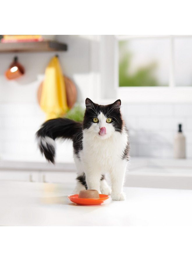 مياو مكس طعام القطط الرطب مياو ميكس باتيه في المرق مع الدجاج الحقيقي ولحم البقر، 2.75 أونصة (عبوة من 12 قطعة) - Image 4