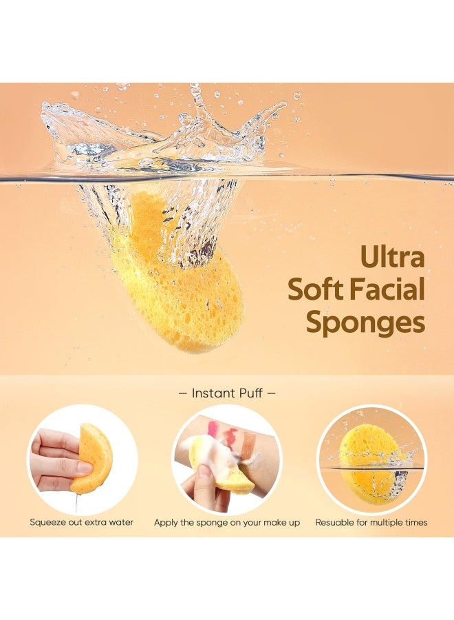 Gainwell 50-Piece Compressed Natural Facial Sponges With Storage Container - Image 2