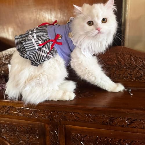 Lulala Pet Cloth Cute Pet Sundress Ribber Work Pet Princess Dress Puppy Summer Apparel Clothes Pet Skirt Shirt with Ruffles lace on Collar for Small Pets(22 Inch,Light Blue) - Image 3