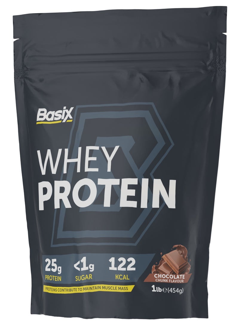 Basix Whey Protein 1Lbs Chocolate Chunk Flavor - Image 1