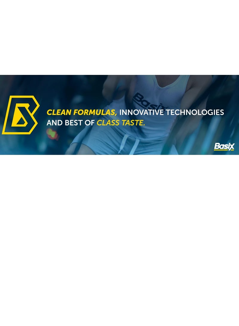 Basix Whey Protein 1Lbs Chocolate Chunk Flavor - Image 3