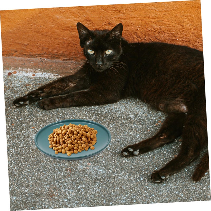 Green Ceramic Cat Bowl Anti Skid Shallow Dish With Protective Neck Design Easy Clean - Image 3