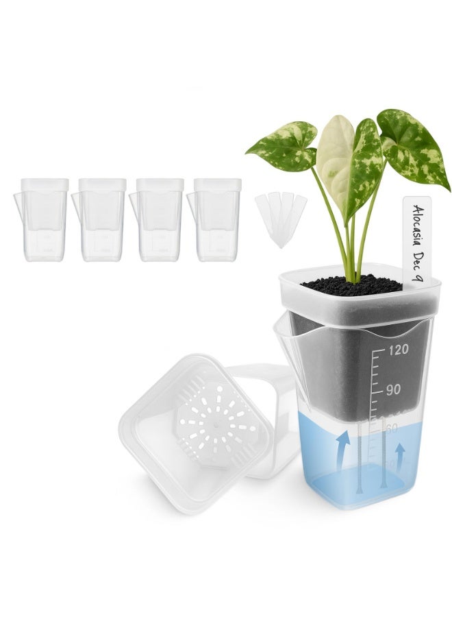 Semi-hydroponic Planting Pots for Succulents with Self-Watering System, 4-Piece Set - Image 1