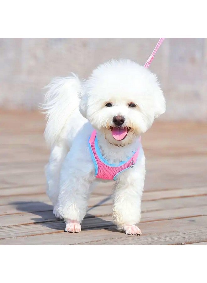 طقم حزام ومقود للجراء بدون سحب، حزام مشي منقوش، حزام شبكي قابل للتعديل للكلاب مع فيونكة، سترة مبطنة مريحة للحيوانات الأليفة للكلاب الصغيرة والقطط (الحجم- صغير) (يناسب الوزن من 1 إلى 5 كجم) - متعدد الألوان - Image 1