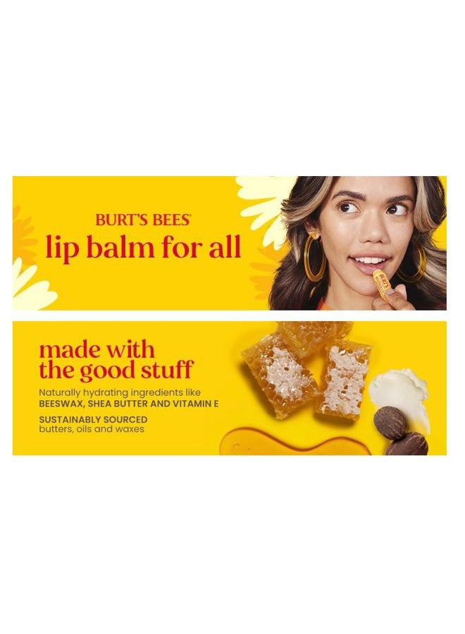 Burt's Bees BURTS BEES STRAWBERRY LEMONADE LIP BALM 2 (0.15) TUBES - Image 3