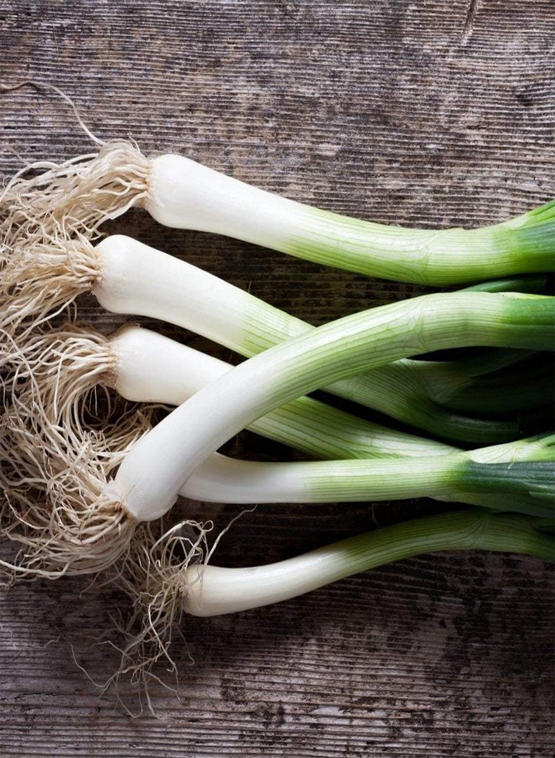 GGOOT Vegetable Seeds, Salad Onion - White Lisbon, V-SAO-01, 500 Seeds Minimum Per Packet. - Image 2