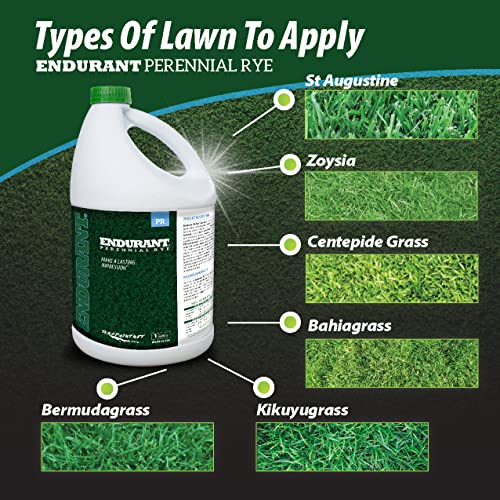 Endurant Turf Colorants - Perennial Rye Spray Green Grass Paint for Lawns - Revives Dry, Patchy Yards - Light Grass Hue - Easy to Use, Concentrated Turf Grass Dye - Covers Approx 10,000 Sq Ft - 1 Gal - Image 3