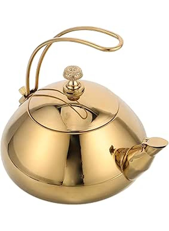 Stainless Steel Tea Kettle with Fine Mesh Filter Fast Heating for Loose Leaf Tea - Image 1