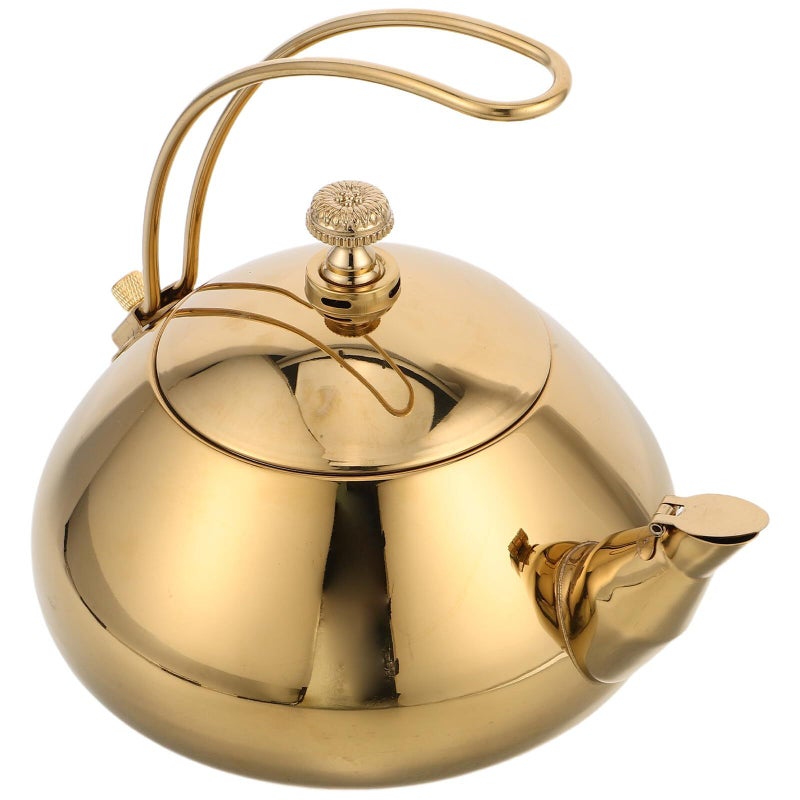 Stainless Steel Tea Kettle with Fine Mesh Filter Fast Heating for Loose Leaf Tea - Image 2