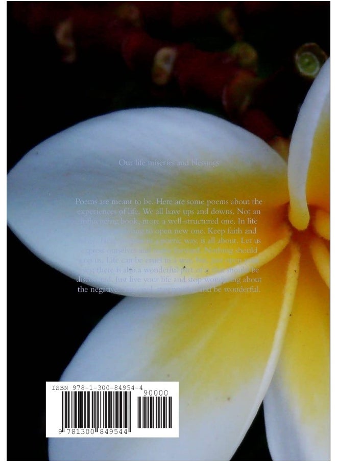 Our life miseries and blessings  - Image 2
