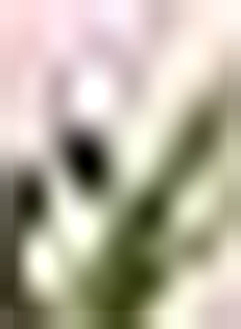 GGOOT 10pcs Rose Roze Tulpen Bollen Ingemaakte Bloembollen Kweek Je Eigen Roze Geurige Sier Bloemen Meerjarige DIY Bolvormige bloemen - Image 1