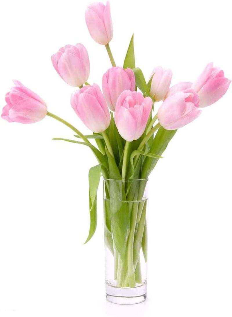 GGOOT 10pcs Rose Roze Tulpen Bollen Ingemaakte Bloembollen Kweek Je Eigen Roze Geurige Sier Bloemen Meerjarige DIY Bolvormige bloemen - Image 2