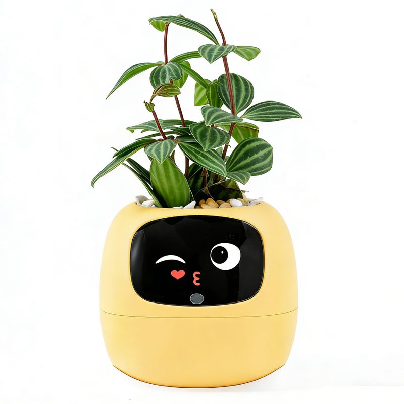 TPHRAVAL Intelligent Flower Pot Electronic Bud Maintenance Plant Assistant Fun Interactive Flower Pot Indoor Green Planting Monitoring LCD Screen Display Cell Phone APP Connection Yellow - Image 2