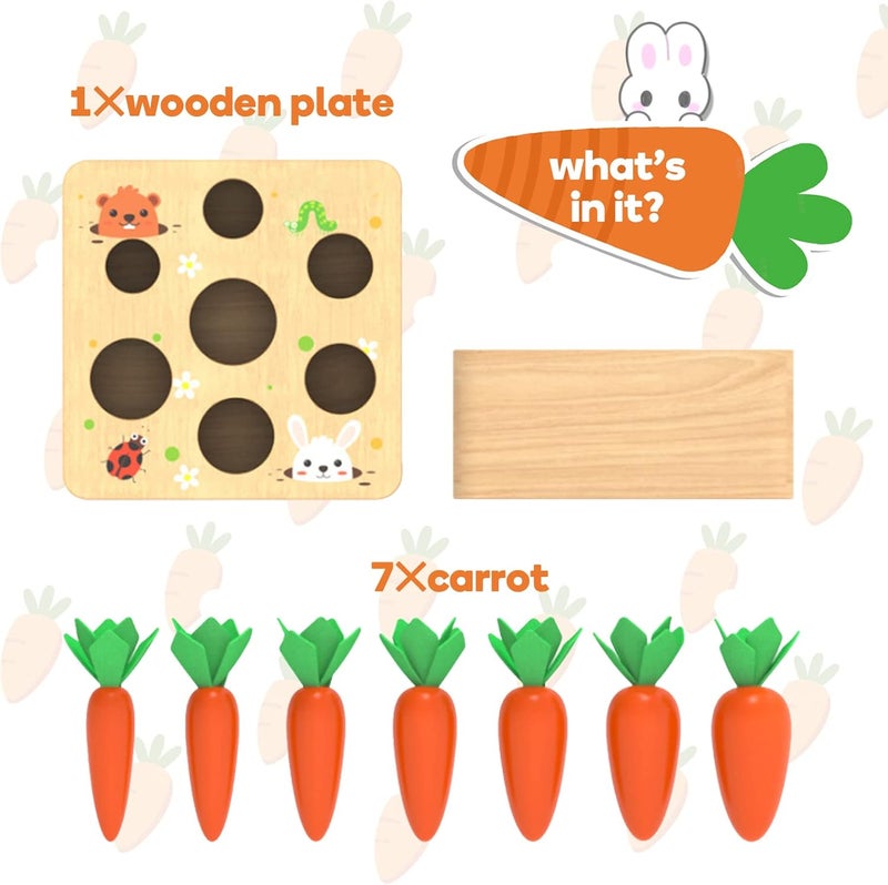 XPIY Montessori Toys for Babies 6-12 Months, Educational Shape Sorting Toys for Toddler Fine Motor Skill Development, Carrots Harvest Wooden Puzzle, Gift for Kids First Birthday - Image 5