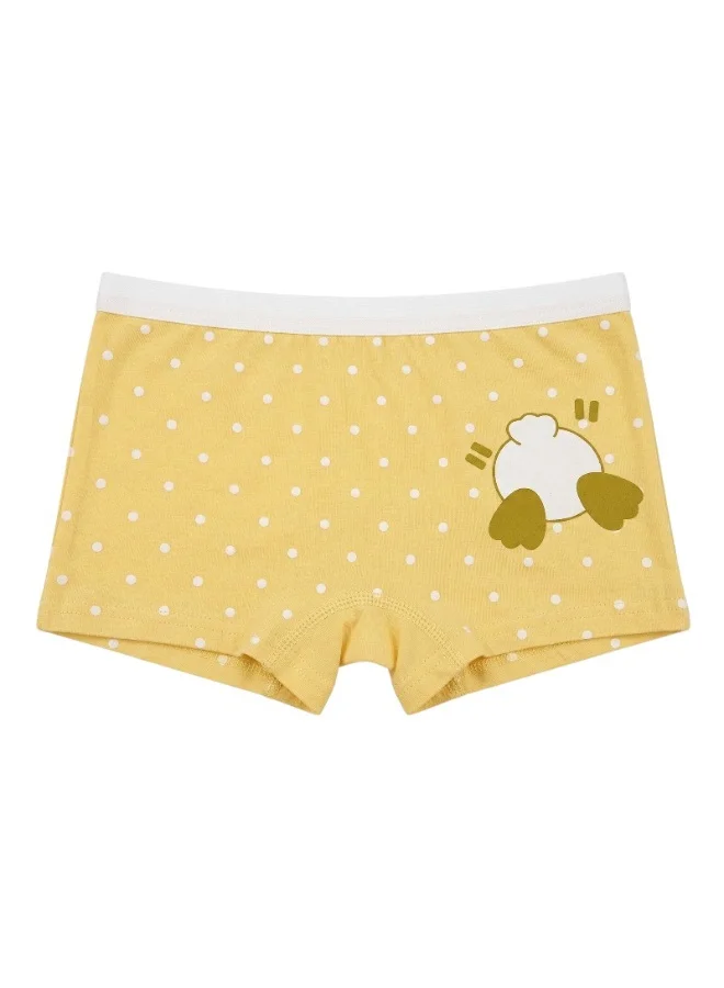 Bidani Pure Cotton Soft Comfort Panties – 4 PC Girl