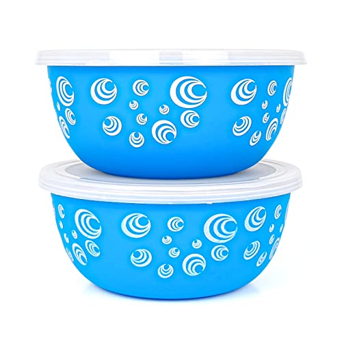 Zaib Stainless Steel Microwave Safe Bowl with lid | Food Storage Container for Kitchen Capacity 750 ML (2 Pcs - Blue Spiral) - Image 1