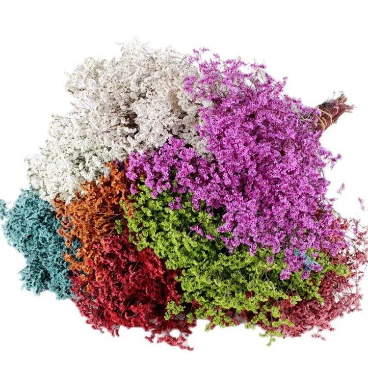 Bluejw Preserved Crystal Grass Dried Flowers Wall Decor - Real Plants for Living Room House Decoration Interior Design - Image 2