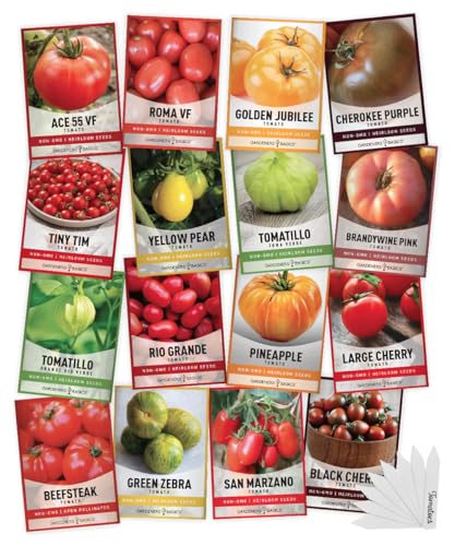 Gardeners Basics أساسيات البستانيين، بذور الطماطم للزراعة، مجموعة متنوعة من 16 نوع من بذور الطماطم القديمة، تيني تيم، بذور الطماطم الكرزية، بذور البيفستيك، بذور الطماطم الرومانية، محددة وغير محددة والمزيد، غير معدلة وراثيًا - Image 1