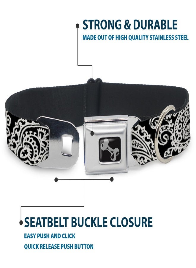 Buckle Down Buckle-Down Seatbelt Buckle Dog Collar - Bandana/Skulls Black/White - 1.5" Wide - Fits 13-18" Neck - Small - Image 4