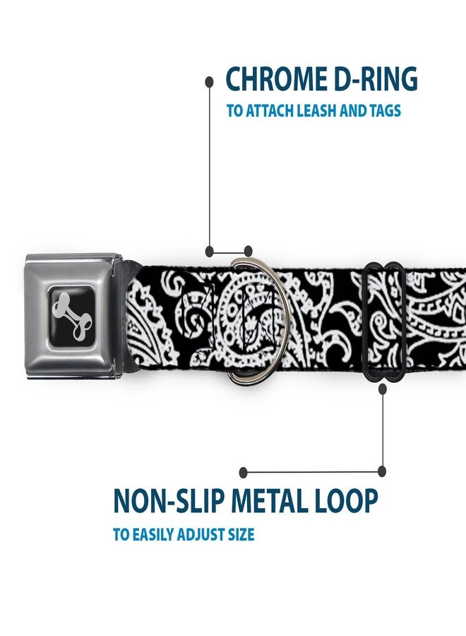 Buckle Down Buckle-Down Seatbelt Buckle Dog Collar - Bandana/Skulls Black/White - 1.5" Wide - Fits 13-18" Neck - Small - Image 5