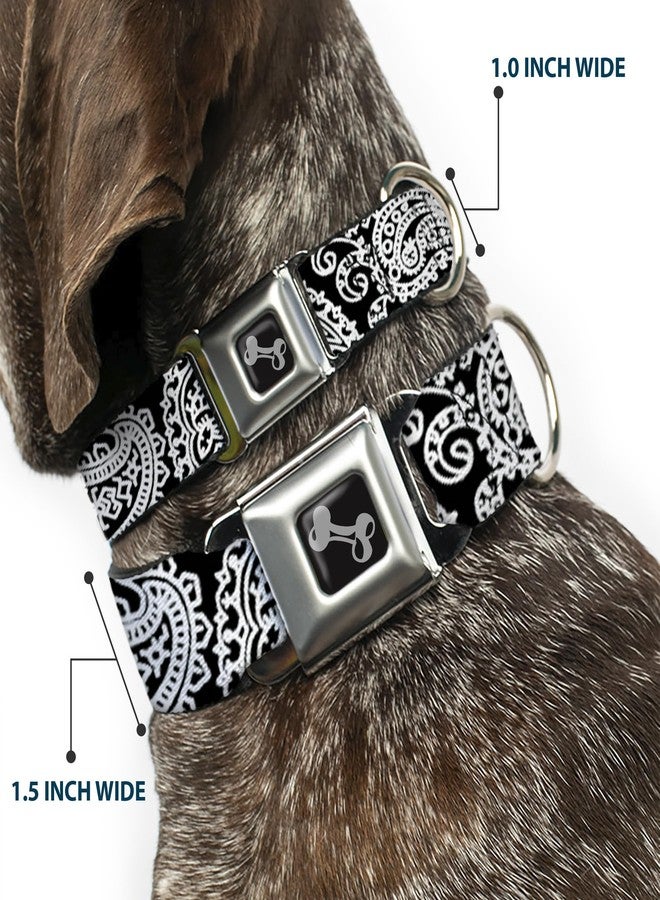 Buckle Down Buckle-Down Seatbelt Buckle Dog Collar - Bandana/Skulls Black/White - 1.5" Wide - Fits 13-18" Neck - Small - Image 2