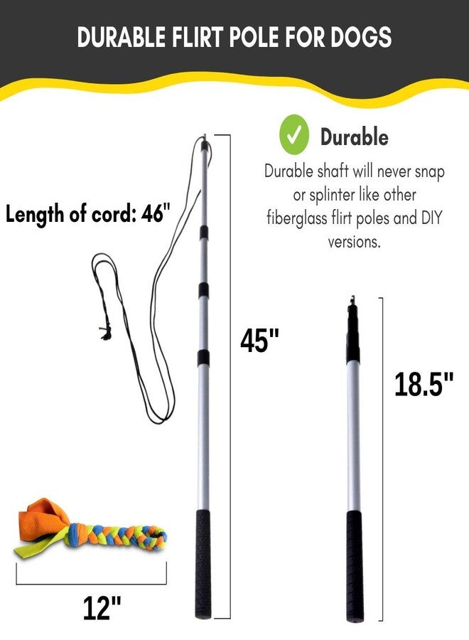 YES4QUALITY Flirt Pole for Dogs - Safe & Strong for Large Breeds with Non-Bungee Cord - Spring Pole for Tug of War, Interactive Play & Puppy Training - Heavy Duty Teaser Wand for Outdoor Exercise - Image 3