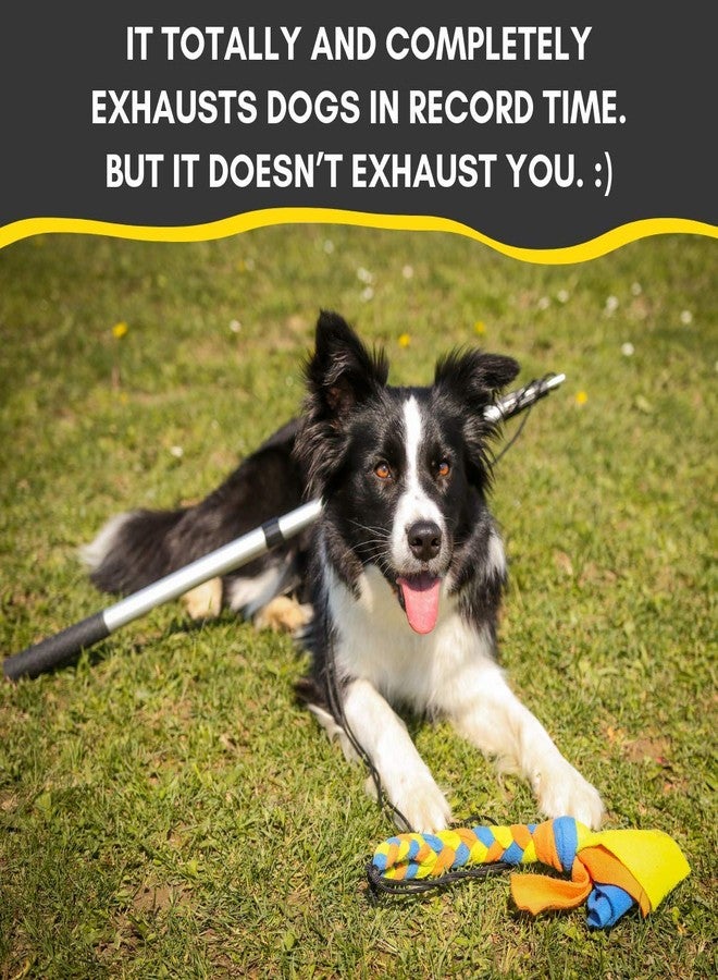 YES4QUALITY Flirt Pole for Dogs - Safe & Strong for Large Breeds with Non-Bungee Cord - Spring Pole for Tug of War, Interactive Play & Puppy Training - Heavy Duty Teaser Wand for Outdoor Exercise - Image 5