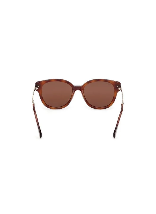 MAXCO Injected Shaped Sunglasses