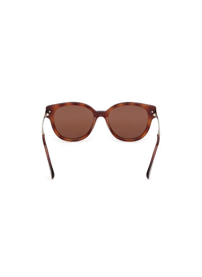MAXCO - Injected Shaped Sunglasses - Image 1
