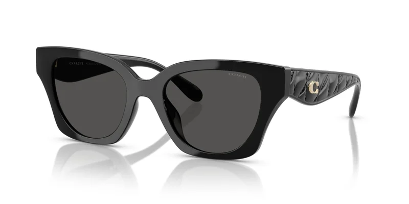 COACH Coach Woman Injected Sunglasses
