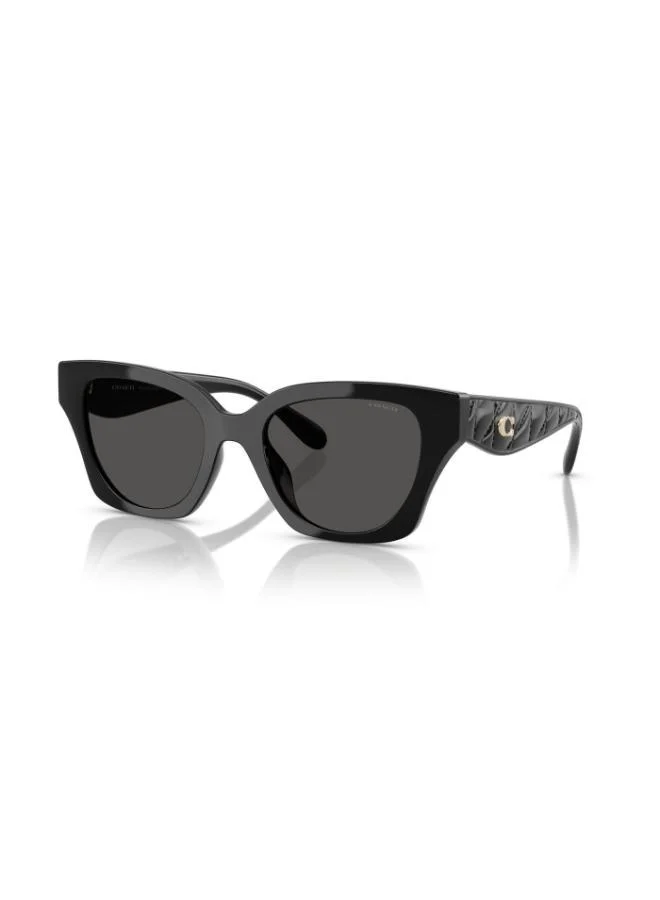 COACH Coach Woman Injected Sunglasses