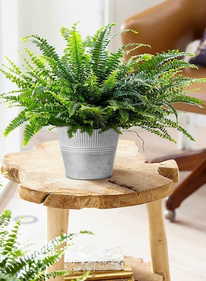 Briful مجموعة من 6 دلاء معدنية مجلفنة من بريفول، مقاس 6.5 بوصة، متوسطة الحجم، مناسبة للزهور، بتصميم ريفي، مثالية للزراعة الخارجية والداخلية. - Image 3