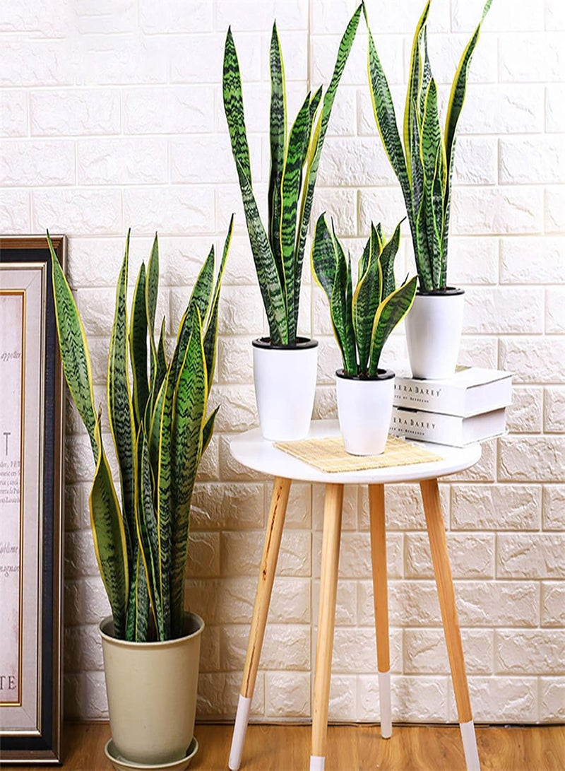GGOOT 400Pcs Sansevieria Seeds Rustic Flourishing Green Indoor Bonsai Seed for Park Gardening Seed for Balcony - Image 1