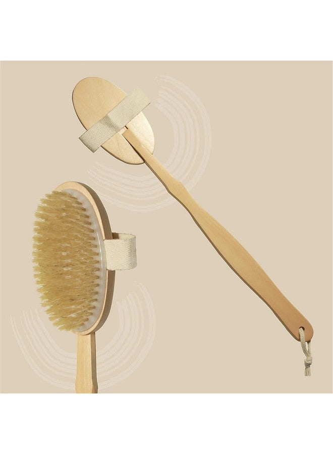 Organic B Bath Brush | Bath Brush for Women | Bath Brush for Back Cleaning | 14-inch Brush with Removable Wood Handle | Detachable Wooden Bathing Brush for Women | Bath Brush with Long Handle - Image 2