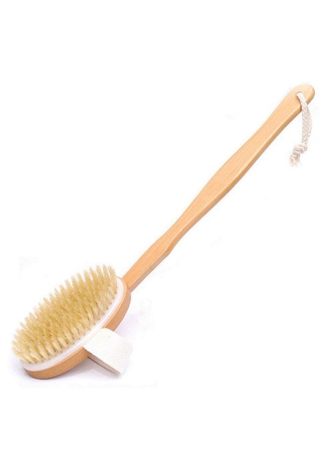 Organic B Bath Brush | Bath Brush for Women | Bath Brush for Back Cleaning | 14-inch Brush with Removable Wood Handle | Detachable Wooden Bathing Brush for Women | Bath Brush with Long Handle - Image 1