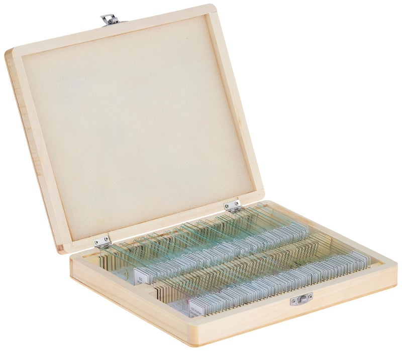 Celestron 44412 Prepared Microscope Slides Pack of 100 - Image 2
