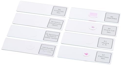Celestron 44412 Prepared Microscope Slides Pack of 100 - Image 3