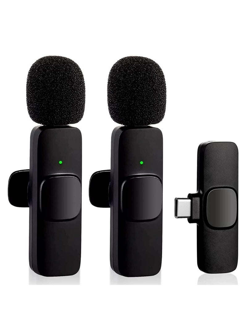 Wireless Mic with 2 Microphone for USB - Image 1