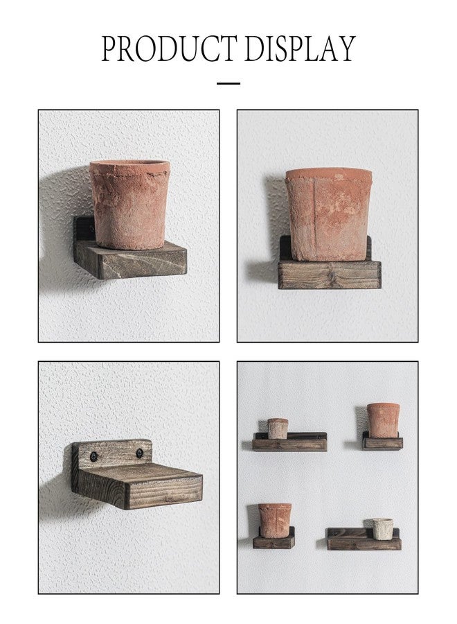 Freezing point Small Floating Shelf for Wall Set of 4 Natural Wood 4Inch Mini Wall Shelves Decor Plant Display Collectibles Mounted Kitchen Bathroom Bedroom Corner Decorative Storage Tiny Stand Brown - Image 3