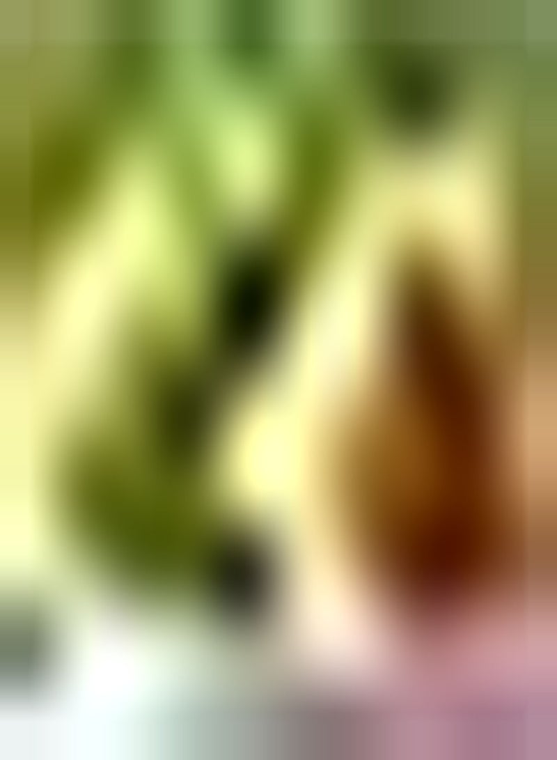 GGOOT 30Stück Guava Samen exotische Baumpflanze Einfach zu züchten geeignet für die Gartenbepflanzung kann auch auf großen Flächen auf dem Bauernhof gepflanzt Werden - Image 3