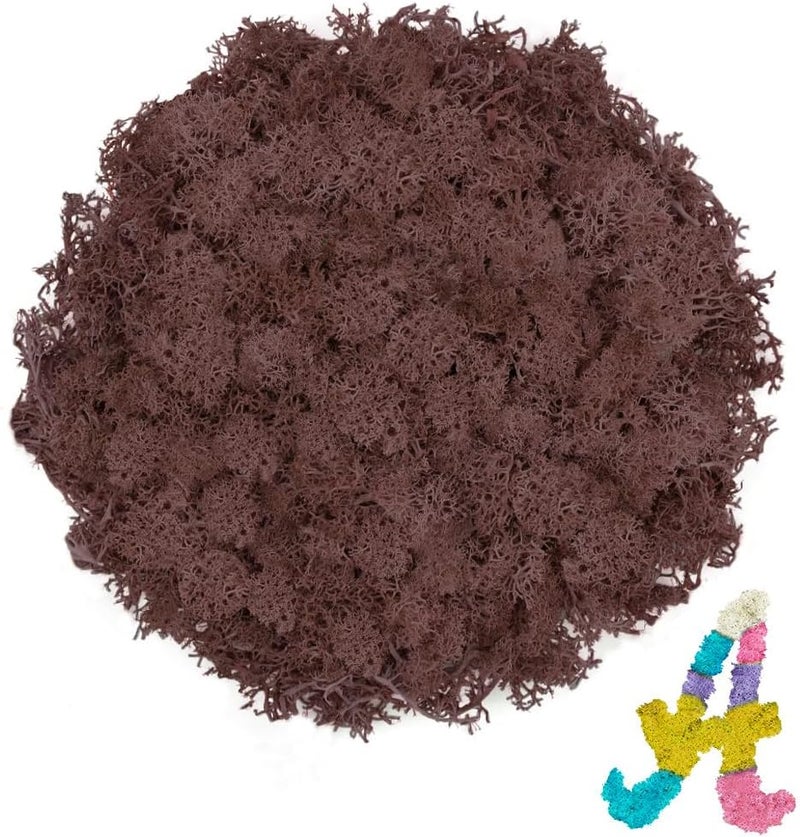 TCYPUHL 3.5 OZ Brown Reindeer Moss, Preserved Moss for Plants, Moss Decor, Brown Moss for Crafts, Moss for Potted Plants, Craft Decorative Moss Decor, Dried Moss - Image 1